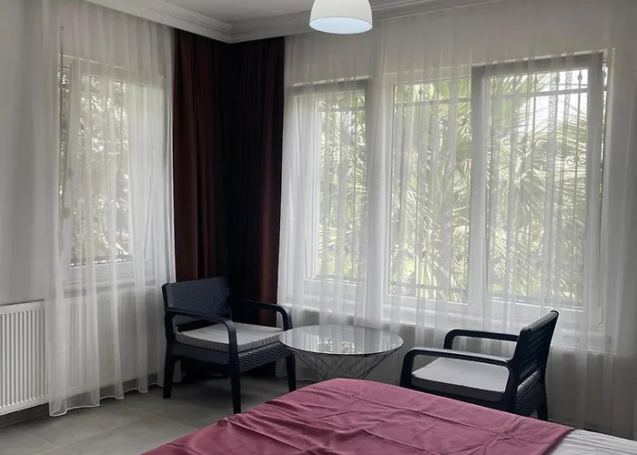 Ξενοδοχείο Evim Palace *