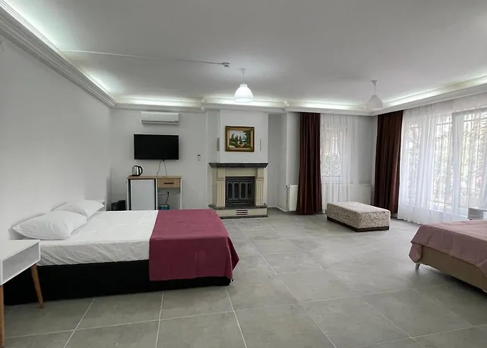 Ξενοδοχείο Evim Palace *